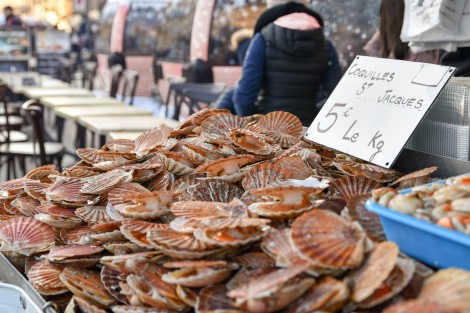 Fête de la coquille Saint Jacques à Dieppe
